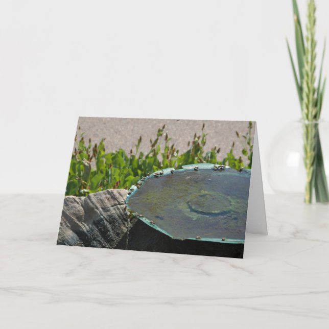 Drinking Bees, Phoenix, Arizona Card (Front)