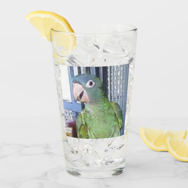 Drinking Glass with  Blue Crown Conure (Front Ice)