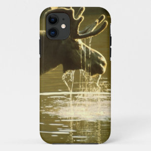 Drinking Moose - CaseMate iPhone 5 Cover