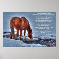 Drinking Red Dun Ranch Horse & Equine Poem