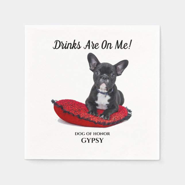 Drinks Are On Me, with your pets photo Napkin (Front)
