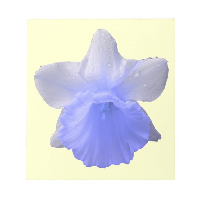 Dripping Daffodil Blue Notepad (Front)