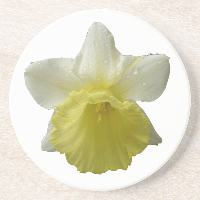 Dripping Daffodil Flower Coasters (Front)