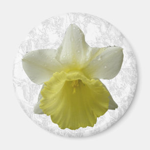 Dripping Daffodil Magnet