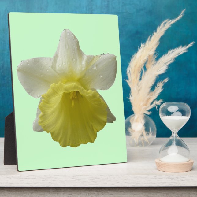 Dripping Daffodil Plaque (Side)