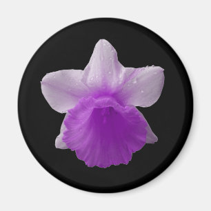 Dripping Daffodil Purple Magnet