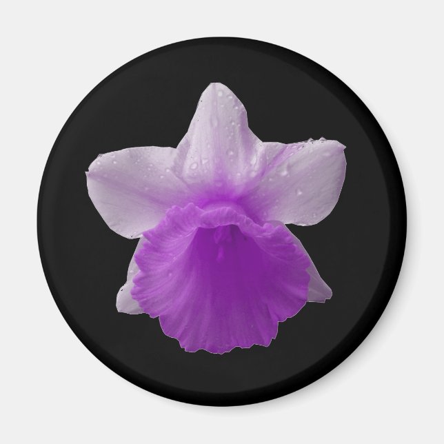 Dripping Daffodil Purple Magnet (Front)