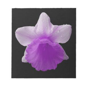 Dripping Daffodil Purple Notepad