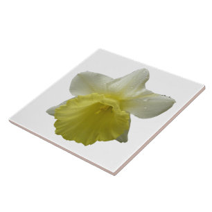 Dripping Daffodil Tile