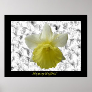 Dripping Daffoldil Customisable Print
