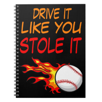 Drive it Like You Stole It, Baseball in Flames, Notebook