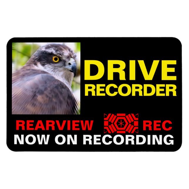 DRIVE RECORDER Warning Plate(Northern Goshawk) Magnet (Horizontal)
