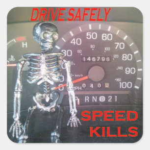 Drive Safely - Speed Kills Sticker