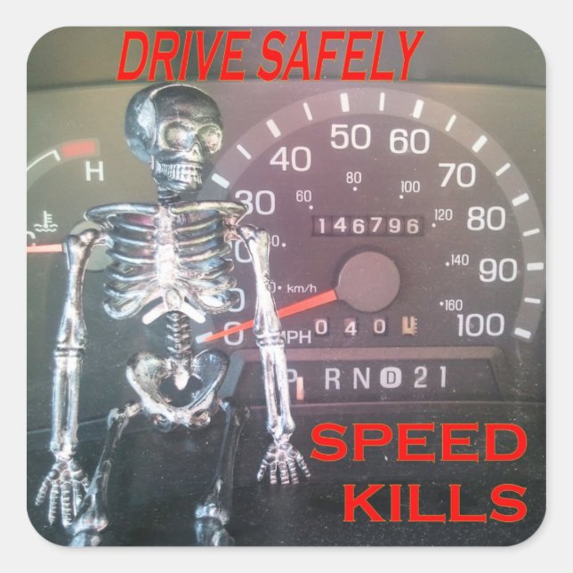 Drive Safely - Speed Kills Sticker (Front)
