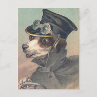 "Driver Dog" Vintage Illustration Postcard