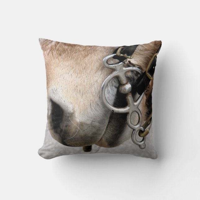 Driving Bit Cushion (Front)