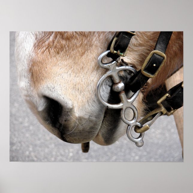 Driving Bit Poster (Front)