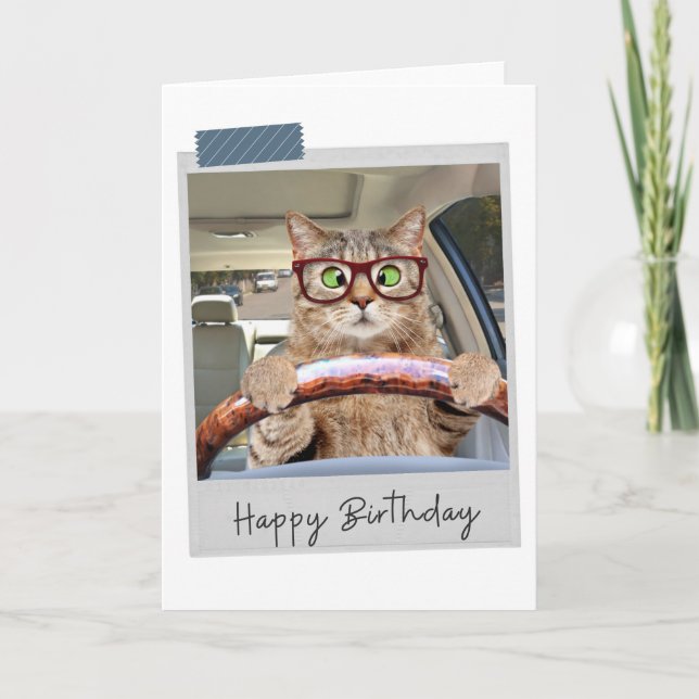 Driving Cat Funny Birthday Card (Front)