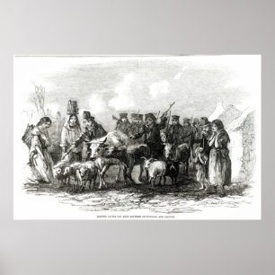 Driving Cattle for Rent Poster