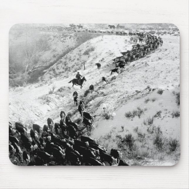 Driving cattle in the winter. mouse pad (Front)