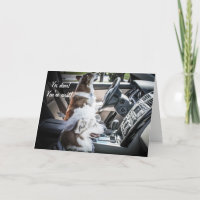 Driving Corgis Anniversary Card