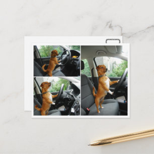 Driving License Congratulation card