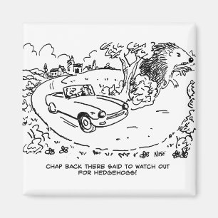 Driving Sports Car in Countryside with Hedgehog Magnet