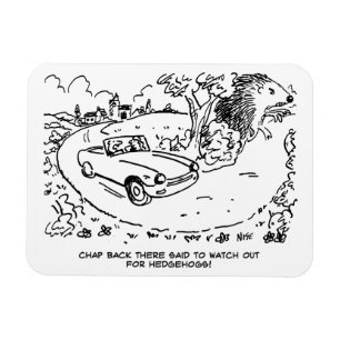 Driving Sports Car in Countryside with Hedgehog Magnet