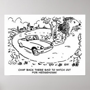 Driving Sports Car in Countryside with Hedgehog Poster