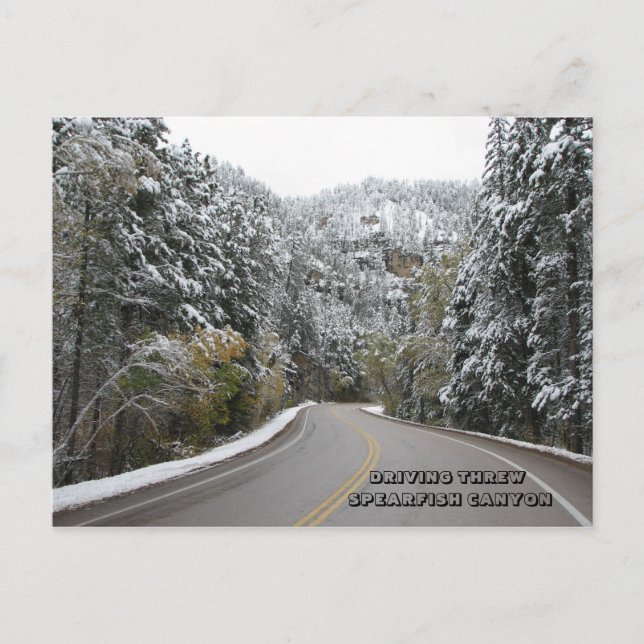DRIVING THREW SPEARFISH CANYON - Customised Postcard (Front)