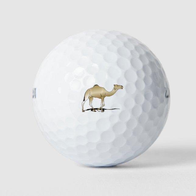 Dromadaire (camel of Arabia) Golf Balls (Front)