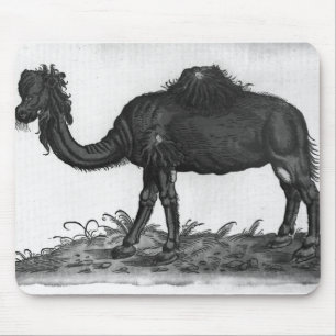 Dromedary, from 'Historial Animalium' Mouse Pad