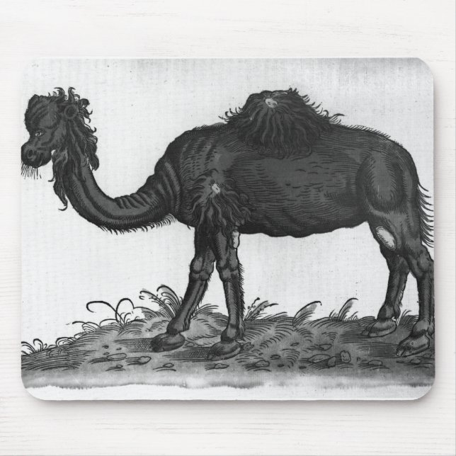 Dromedary, from 'Historial Animalium' Mouse Pad (Front)