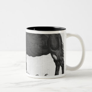 Dromedary, from 'Historial Animalium' Two-Tone Coffee Mug