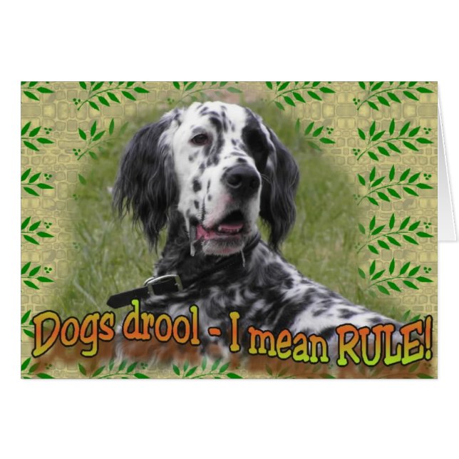 drool or RULE (Front Horizontal)