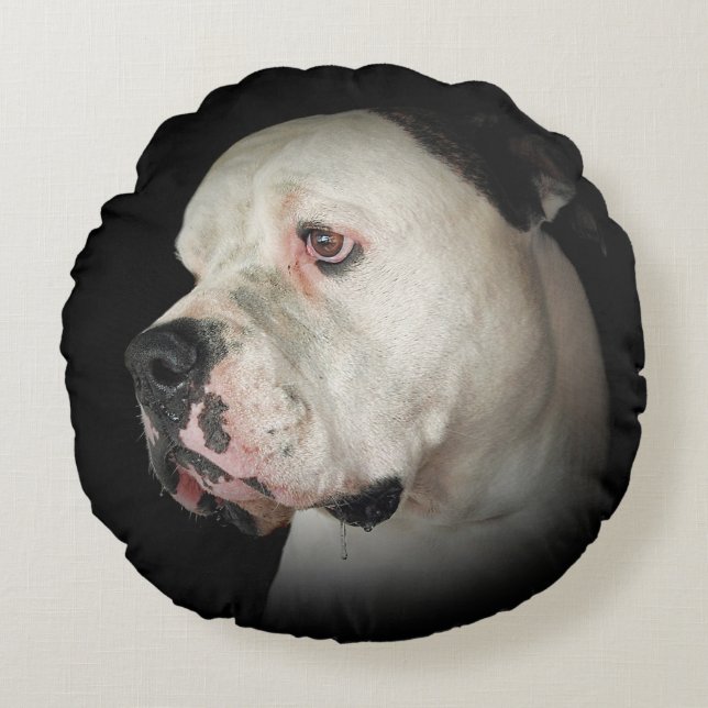 drooling American Bull Dog Round Cushion (Front)