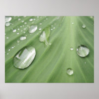 Drop by Drop