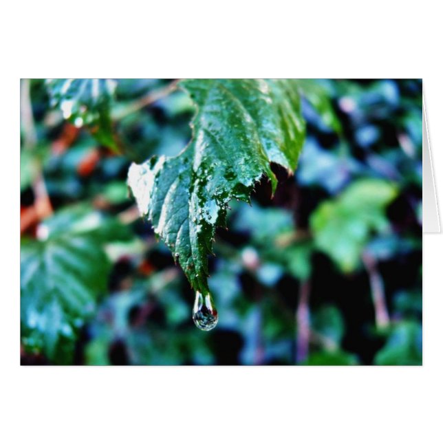 Drop Of Rain (Front Horizontal)