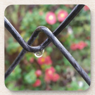 Drop of rain coaster