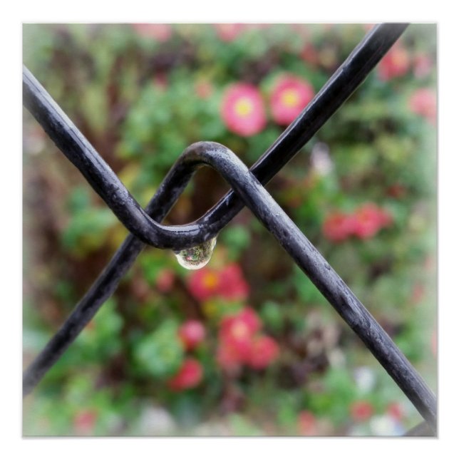 Drop of rain poster (Front)