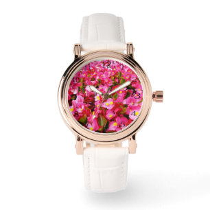 Droplet Of Spring: Pink Begonia Flowers, Watch