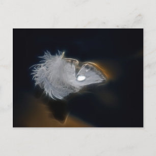Droplet of water on a white feather postcard