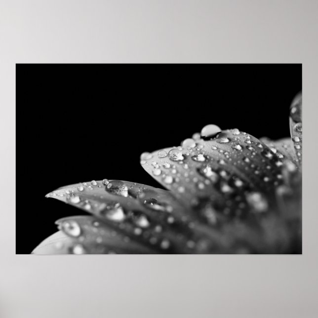 Droplets (Black and White) Poster (Front)