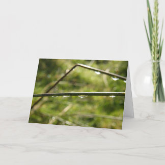 Droplets Card