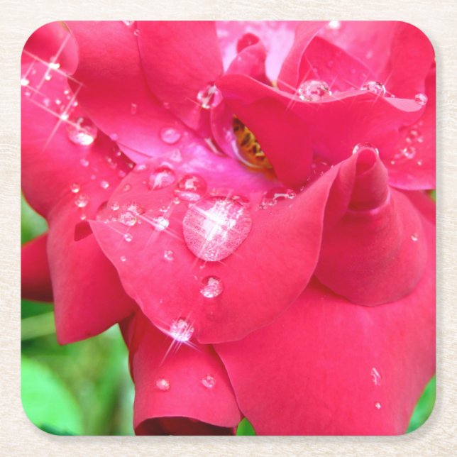 Droplets on Petals Coaster (Front)