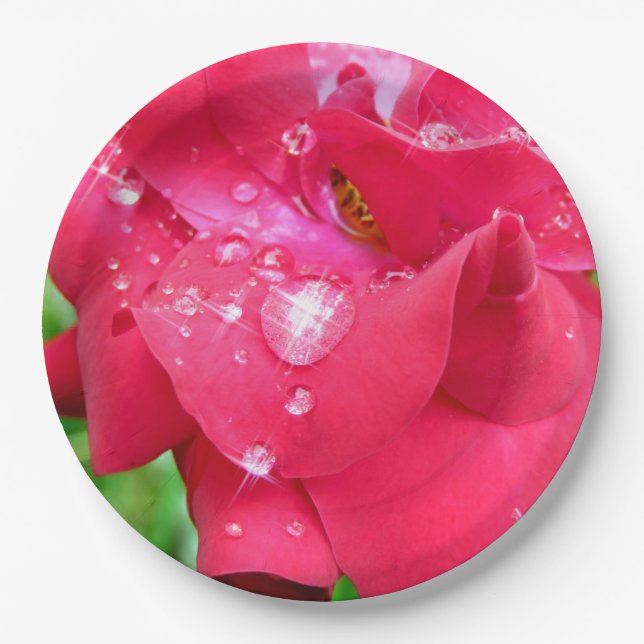 Droplets on Petals Paper Plates (Front)