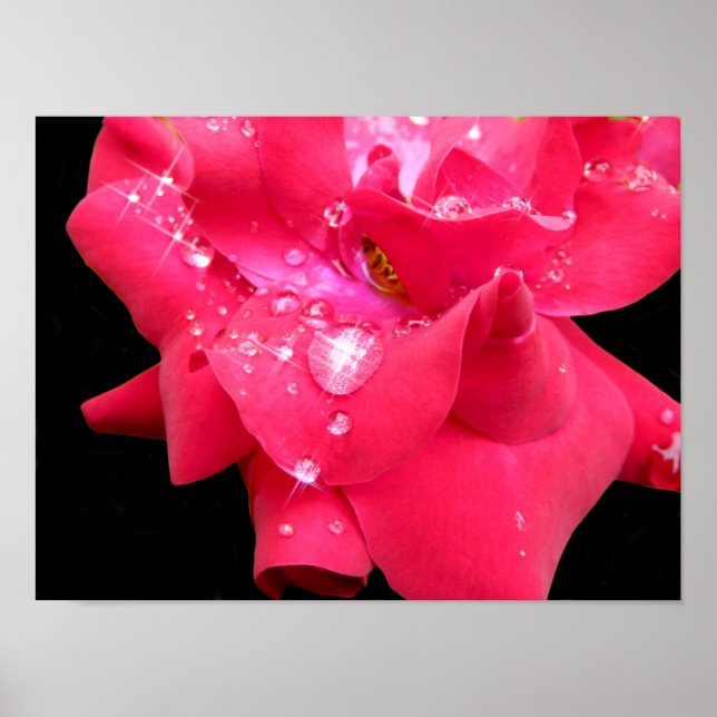 Droplets on petals Poster (Front)