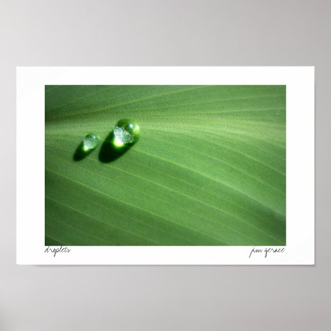 droplets poster (Front)