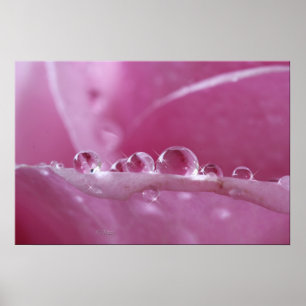 Droplets Poster