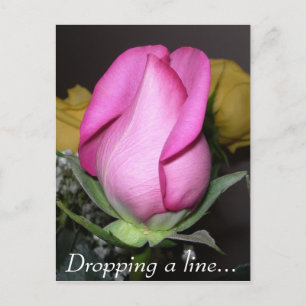 Dropping a line... postcard